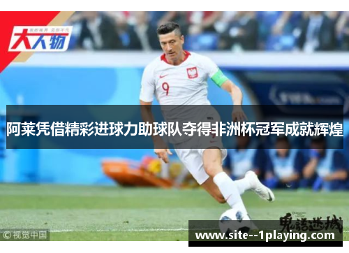 阿莱凭借精彩进球力助球队夺得非洲杯冠军成就辉煌