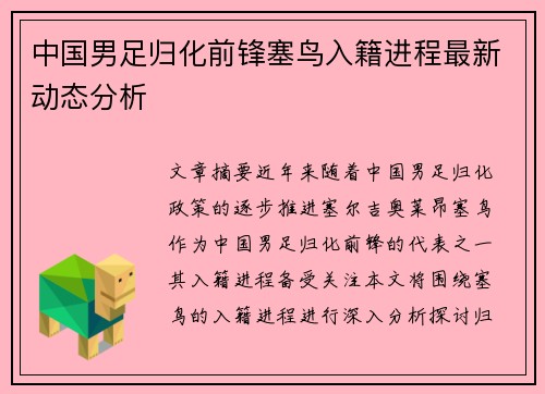 中国男足归化前锋塞鸟入籍进程最新动态分析