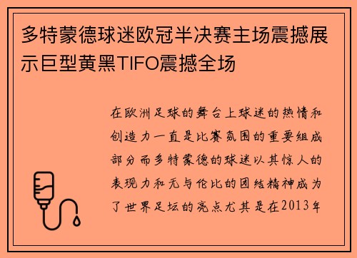 多特蒙德球迷欧冠半决赛主场震撼展示巨型黄黑TIFO震撼全场