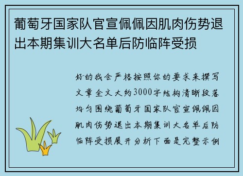 葡萄牙国家队官宣佩佩因肌肉伤势退出本期集训大名单后防临阵受损