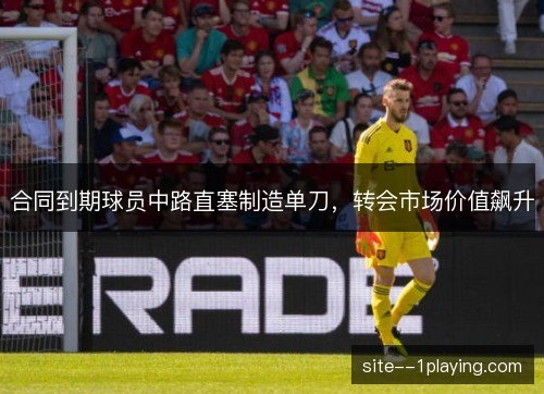合同到期球员中路直塞制造单刀，转会市场价值飙升